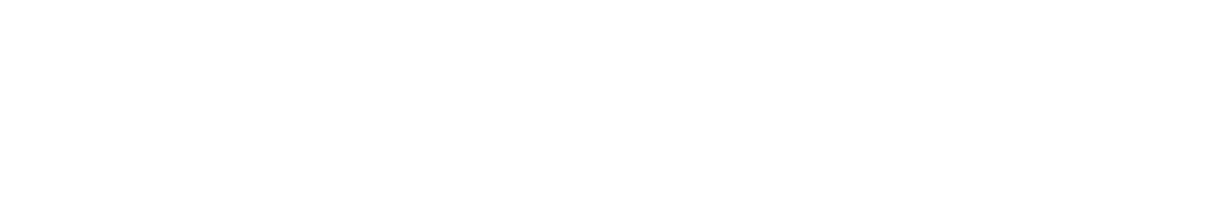 VLB Logo